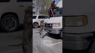 ⚠️Единственный способ пережить нападение собаки 🐕