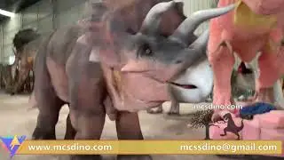 DCTR209-Triceratops Costume Dino Suit made by MCSDINO