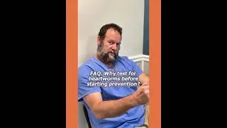 Protect Your Dog with Yearly Heartworm Testing, Marc Smith, DVM, MS