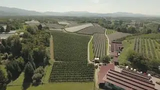Zinks Apfelplantagen in Renchen