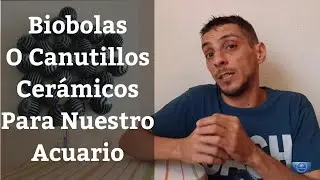 🔵 Biobolas Para Acuario o Canutillos Cerámicos,Cual Elegir? (Acuarios MB)