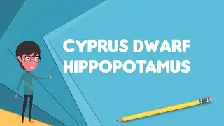 What is Cyprus dwarf hippopotamus?, Explain Cyprus dwarf hippopotamus