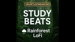 Rainforest LoFi 🌧️ Study Beats with Rain & Forest Ambience |  Deep Focus Music (Black Screen)