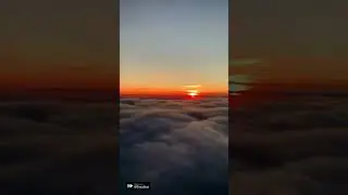 #sinema #recommended #reels #sky #flyingbeast #airplane #sunset