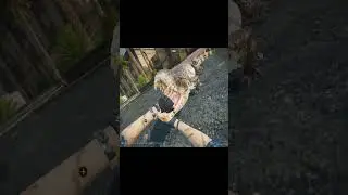 Delta Force Mobile Funny Crocodile Moment