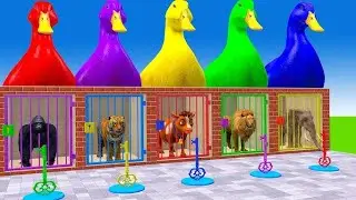 #longslidegame #funny3danimals #cartoon #video #elephant long Slide Game videos game cow Gorilla