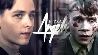 ❝Angels❞ | NaPolA