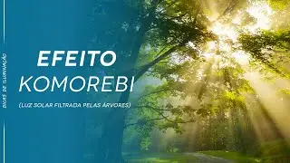 Efeito Komorebi (luz solar filtrada pelas árvores)