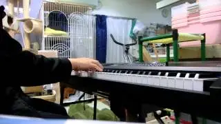 KORG　KROME-88が入ってきました。