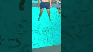 Looc Marine Sanctuary on Tablas Island, Romblon                 Decision - One Ok