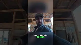 Barn Makeover: Stall Setup & Animal Allocation Revealed! #shorts