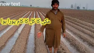 Makki ka cal ka kam pura hua Shahid family vlog1 