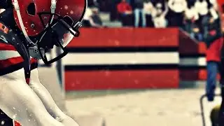MADDEN 17:CLEVE LAND BROWNS SUPERBOWL BOUND