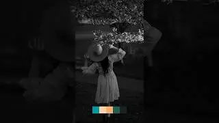 Cherry blossoms edit