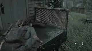 The Last of Us part 2 Hillcrest survivor