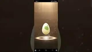 hatching 2km egg #pokemongo #12kmegg #7kmegg #shinypokemon #egghatch
