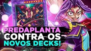PREDAPLANTA CONTRA OS DECKS NOVOS! - Yu-Gi-Oh! Duel Links