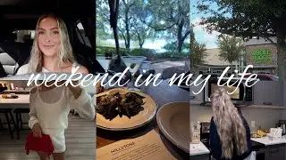 VLOG: обед с друзьями, выбор цельных продуктов, поиск роскошной альтернативной пижамы, покупка ко...