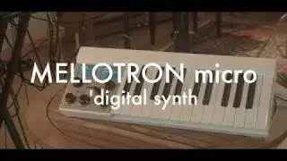 Part 1 - The Mellotron Micro - Shaping Sound (Tubescreamer, Zvex Lo-Fi Junky, Strymon Flint)