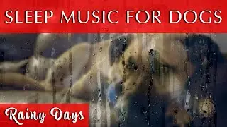 Relaxing Sleep Music for Dogs with Gentle Rain Sounds | 174Hz Healing Frequency