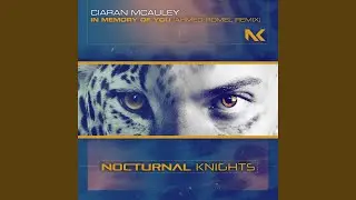 In Memory Of You (Ahmed Romel Remix)