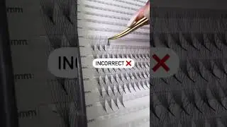 BEGINNER LASH TECH TIPS | How to pick up pre-made lashes