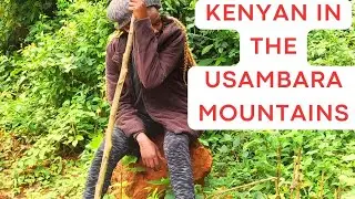 Magamba Forest Lushoto,Tanzania