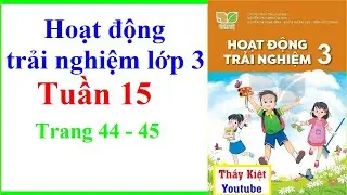 Hoạt Động Trải Nghiệm Lớp 3 Tuần 15 | Trang 44 - 45 | Kết Nối Tri Thức