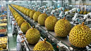 Inside a Modern Durian Factory: From Fresh Harvest to Durian Ice Cream Base (Full Process)
