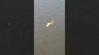 Drone Finds a SUNKEN Ship...!