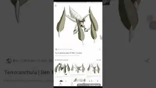 Terroranchula depredador de escarabola