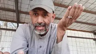 النحل في نجم الغفر من طالع الوسم