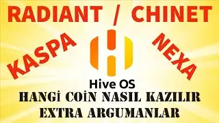 Radiant Kaspa Nexa Chinet Coin Nasıl Kazılır | Hiveos ince ayarlar | Ekran Kartı Madencilik Mantığı