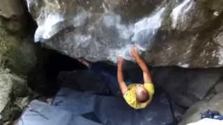 Schrotti 7B - Magic Wood Avers Switzerland