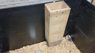 Gravity feeder for rat grow out tub!