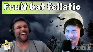The importance of foreplay in bat copulation, a scientific study | RecSciPod