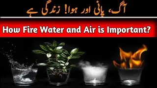 Elements of Life: Exploring the Profound Connection Between Fire, Water, and Air in Human Existence
