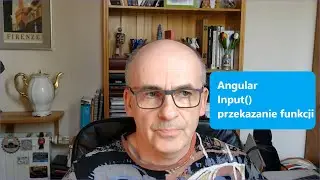 Angular @Input - function body