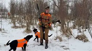 Охота на фазанов в Висконсине в условиях свежего снега