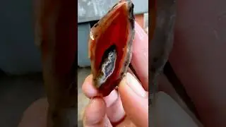 Cutting 6 tons of Moroccan agate.Episode #38The vibrancy of color in the agate pair is remarkable!