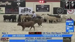 PCCHA Holy Cow Perf Horses Futurity Classic Open Champions