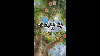 ☘️ 가고픈 곳 ☘️ #아름다운글 #tea #멋진글귀