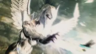 Skyrim: The best pictures in Skyrim!