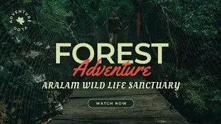 Jungle Trekking | Aralam Wild Life Sanctuary | Forest View|Kerala #jungle #forest #wildlife #nature