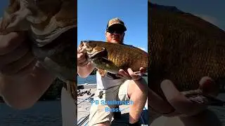 PB Smallmouth Bass! Northern Wisconsin. #smallmouthbassfishing #bigbass #wisconsinfishing