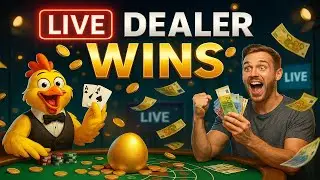 chicken road game casino 🎲 Live Dealer Games, Real Cash Wins, Bonus Offers