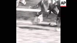 CAN 262 HORSE RACING AT BADEN BADEN