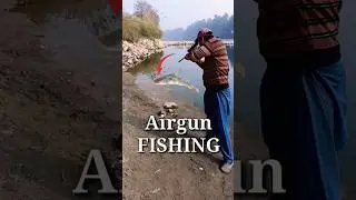 Airgun Fish hunting | Wallago Attu Catfish hunting #fishing #shortsfeed #airgunfishing