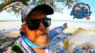 2 DAYS SOLO - Fishing my Australian Backyard - From LAND & SEA.
