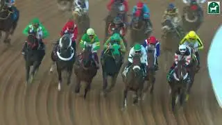 RIYADH RACING SEASON MEETING NO 60 RACE NO 4